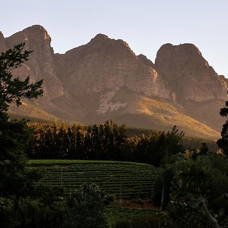 Africamps At Doolhof Wine Estate Villa Уелингтън Екстериор снимка